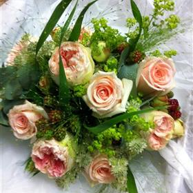 fwthumbphoto (20).jpg